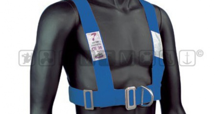 RAMENSKI VARNOSTNI PAS VSG